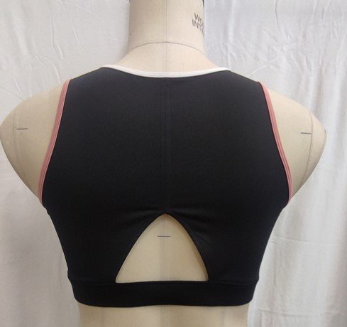 Ladies Sports Bra