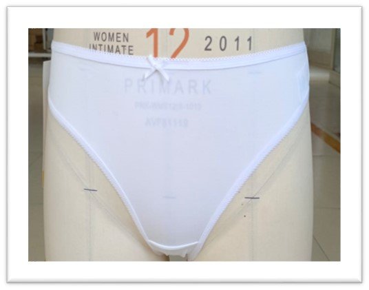 Ladies Brief