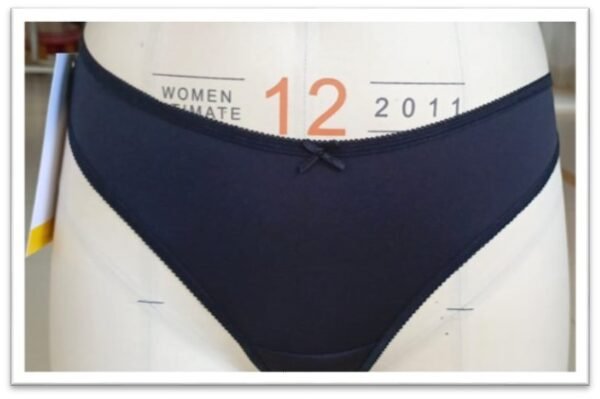 Ladies Brief