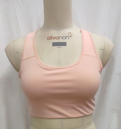 Ladies Sports Bra