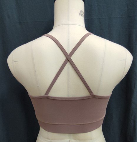 Ladies Sports Bra